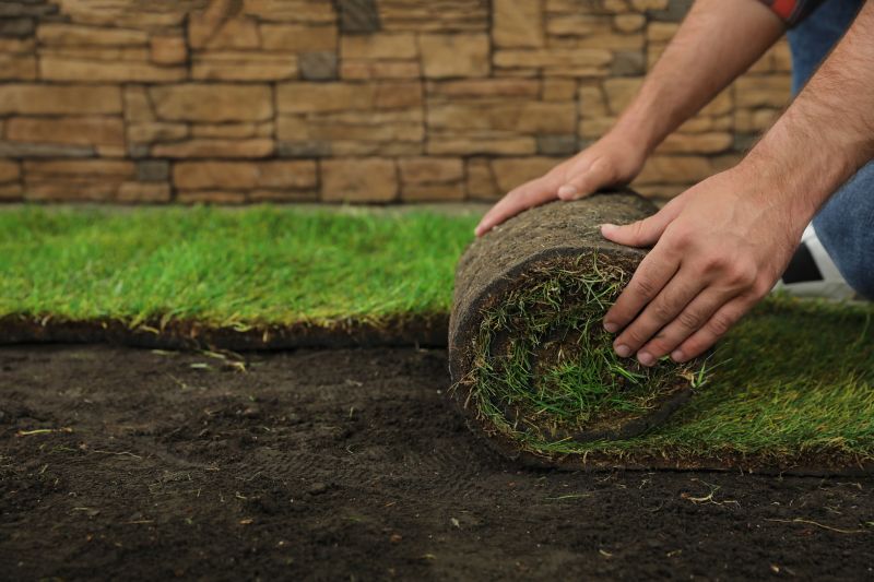 Bentgrass Sod Installation in Honolulu, HI