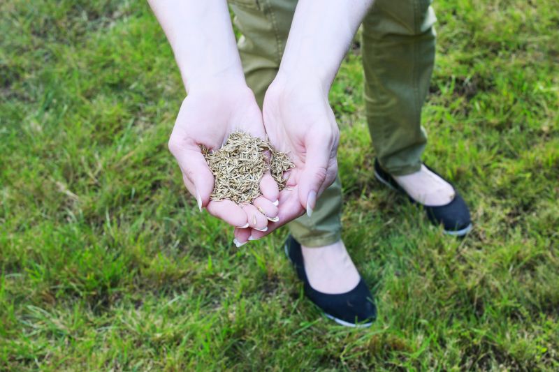 Watering and Maintenance