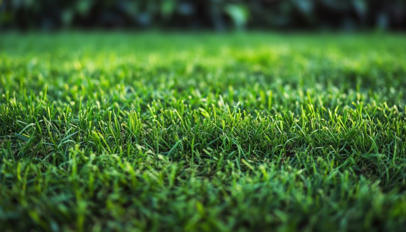 Turfing Service in Honolulu, HI