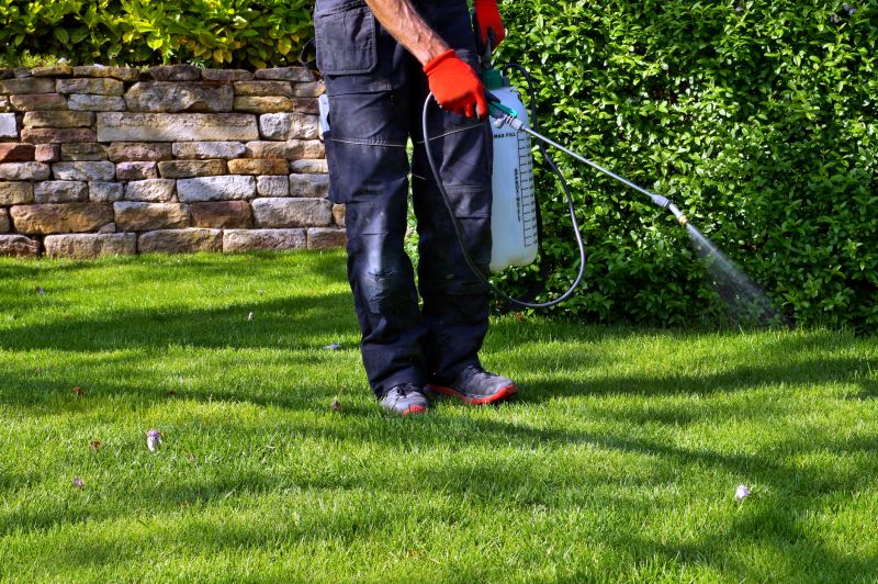 Weed Control Service in Rockwall, TX