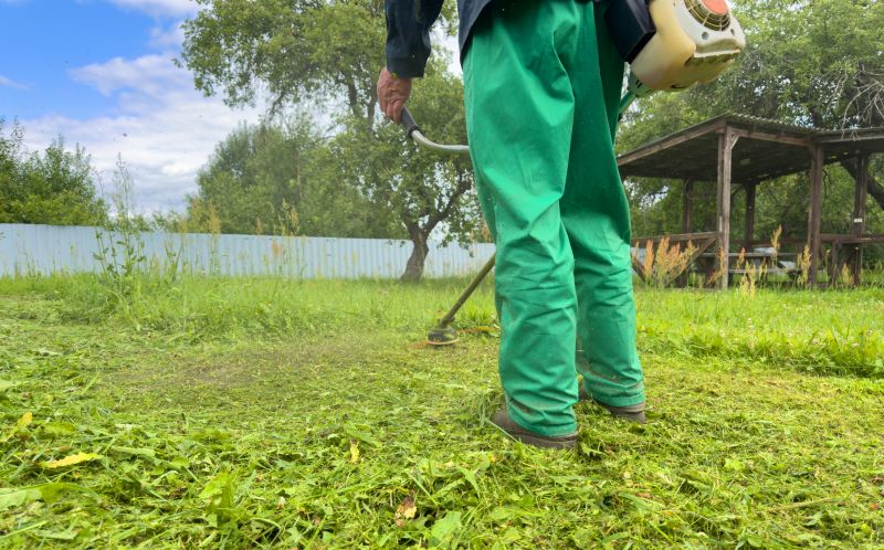 Weed Prevention Service in Rockwall, TX