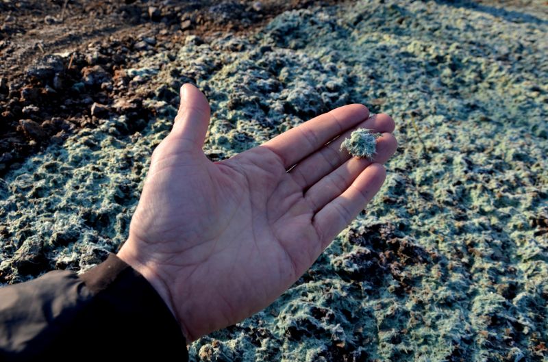 Experienced Turf Specialists